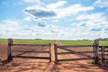 wooden fence in the field