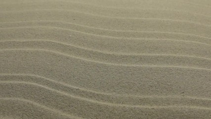 Wall Mural - Panorama. Dune sand texture. Sandy beach for background.