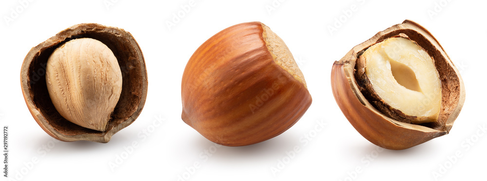 collection of hazelnuts in shell isolated on a white background - obrazy, fototapety, plakaty 