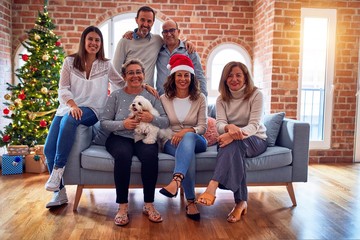 Family and friends dining at home celebrating christmas eve with traditional food and decoration, all sitting on the sofa together smiling happy with dog