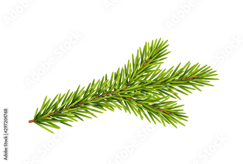 Fotografía Tannenzweig, Weihnachts-Dekoration, Vektor Illustration isoliert auf weißem Hint