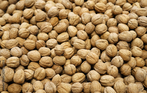Cuadros en Lienzo walnut in pile during harvest season as food background