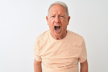 Senior grey-haired man wearing striped t-shirt standing over isolated white background angry and mad screaming frustrated and furious, shouting with anger. Rage and aggressive concept.