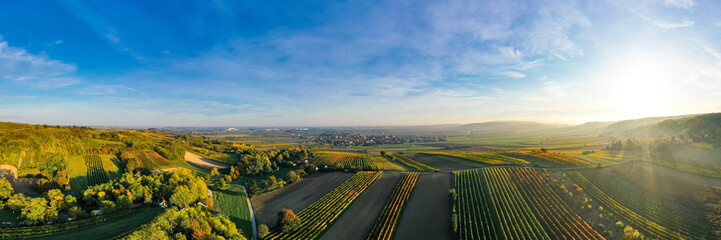 Wall Mural - Aerial drone view of colorful vineyards fields in the Austrian Weinviertel region