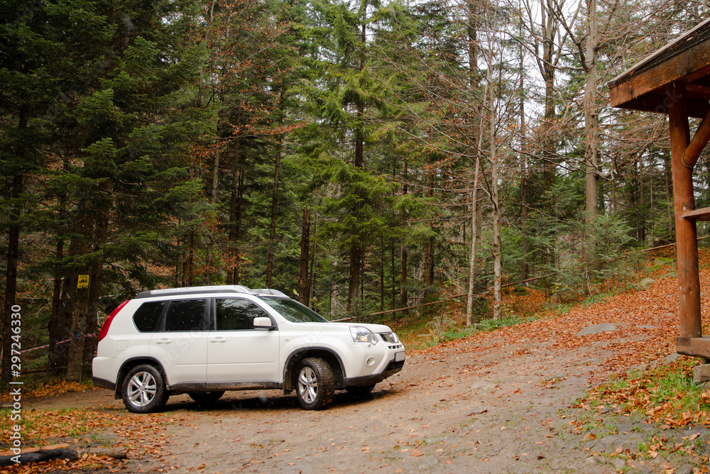 white suv car in autumn forest bbq place - obrazy, fototapety, plakaty 