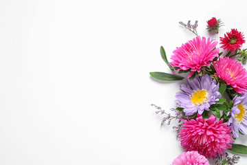 Canvas Print - Composition with beautiful aster flowers on white background, top view