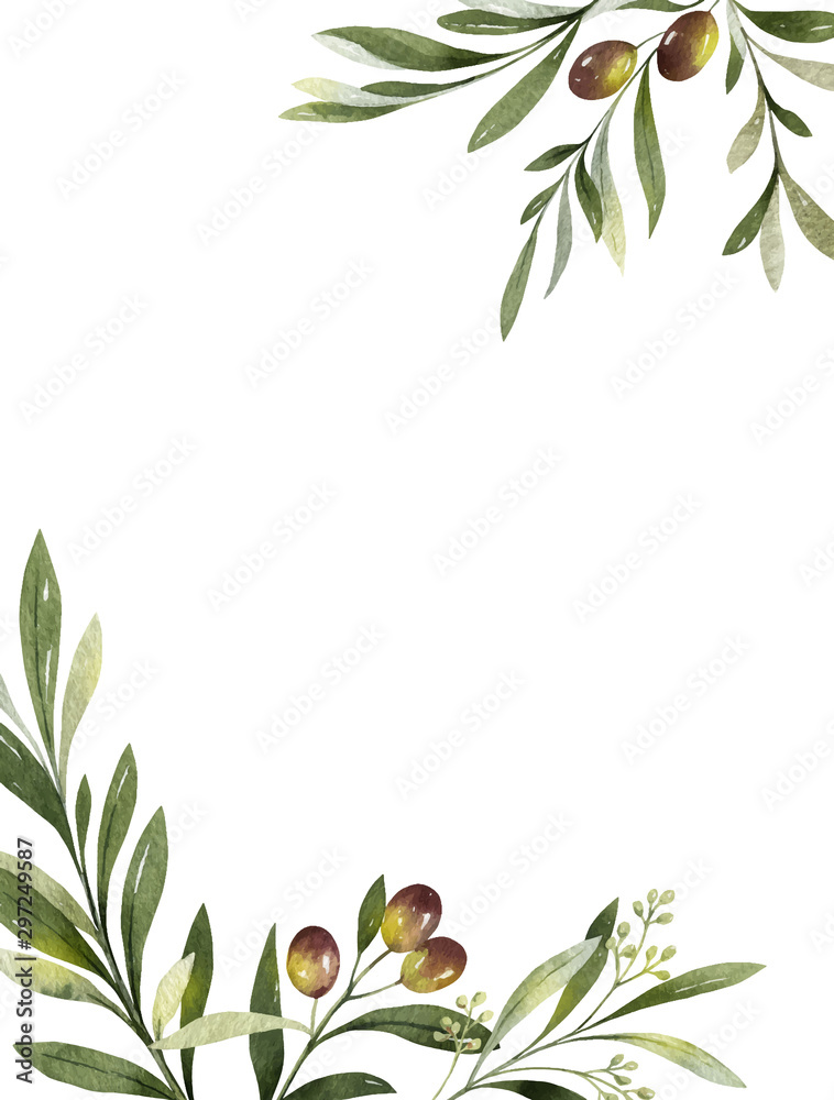 Watercolor vector card of olive branches and leaves. Stock Vector ...