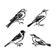 Wild birds collection. Vector animal illustration, hand drawn stylized silhouettes painted by ink, black isolated on white background
