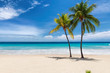 Leinwandbild Motiv Tropical white sand beach with coco palms and the turquoise sea on Caribbean island.