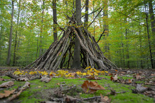 Treehouse / Tent - A Tipi Made By Children In The Autumn Forest