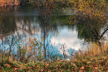 autumn landscape with trees and lake in autumn