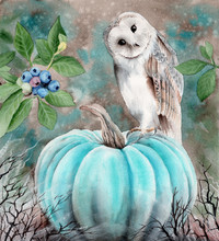 Watercolor Illustration Of A Barn Owl Sitting On A Pumpkin With Sprigs Of Blueberries.