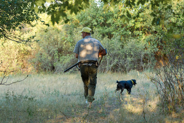 Wall Mural - Hunting period, autumn season open. A hunter with a gun in his hands in hunting clothes in the autumn forest in search of a trophy. A man stands with weapons and hunting dogs tracking down the game.	