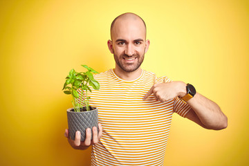 Poster - Young man holding basil plat plot over isolated yellow background with surprise face pointing finger to himself