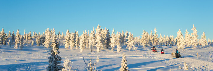 Wall Mural - group of snowmobiles in lapland, near saariselka, panoramic winter background, finland