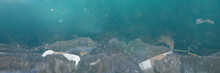 Plastic Pollution In Ocean Water, Bottles And Bags On The Sea Floor, Micro Plastic Pollution (3d Illustration Panorama Banner)
