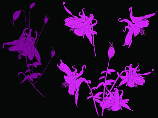 bellflower lilac silhouettes on black