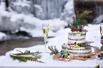 Winter style wedding cake. Rustic style.