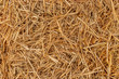 Yellow dry hay straw backdrop texture. Dry cereal plants, farm rural agricultural.