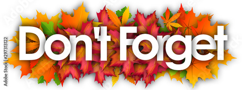 Fotografía Don't Forget word and autumn leaves background