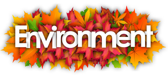 Wall Mural - environment word and autumn leaves background