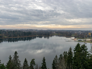 Wall Mural - beautiful view of tree tops on lake in background