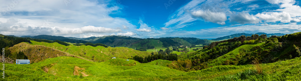 Hills of New Zealand - obrazy, fototapety, plakaty 