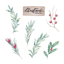 Watercolor Set With Mistletoe, Rosemary, Holly And Olive Branches On White Background. Hand Drawn Sketch Illustration. Winter Botanical Collection