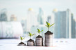 The tree  growing on money coin stack for investment,  business newspaper with financial report on desk of investor real estate business. Investment property growth Concept