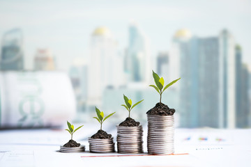 The tree  growing on money coin stack for investment,  business newspaper with financial report on desk of investor real estate business. Investment property growth Concept