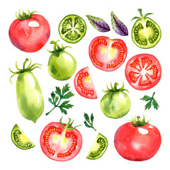 Watercolor vegetables set with red and green tomatoes, basil and parsley