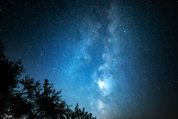 Wall Mural - night starry sky against the background of the milky way and trees.