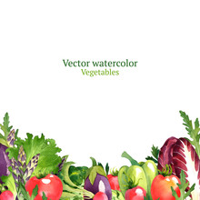 Watercolor Vector Vegetables Frame With Radicchio, Arugula, Asparagus, Pepper, Eggplant, Tomato, Lettuce, Broccoli, Radish, Basil And Parsley