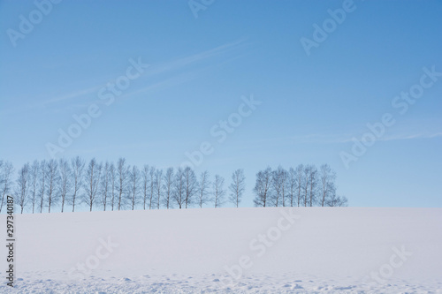 Fotolia アドビストックのデザイン かべいろ Com おしゃれ壁紙リフォーム貼り替え インクジェット壁紙のかべいろ Com