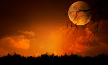 Full Moon With Halloween Background