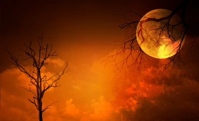 Wall Mural - Full moon with Halloween background