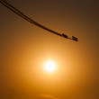 Flying planes at sunset