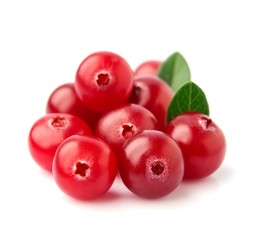 Sticker - Fresh cranberries