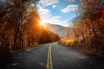 Road in the autumn forest. Highway in the forest in the autumn.