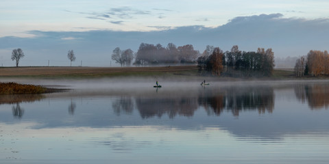 Wall Mural - early autumn morning, white mist over water and ground, beautifully colored and blurred tree silhouettes in the background