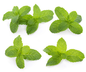 Wall Mural - Mint leaves isolated on white background