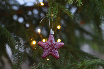 christmas decoration on tree