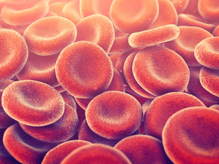 Wall Mural - Red blood cells carry oxygen to all body tissues, Erythrocytes background, 3d illustration