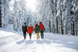 © Halfpoint - A rear view of group of young friends on a walk outdoors in snow in winter forest.