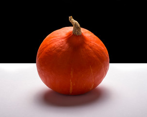 one orange pumpkin on a black and white background