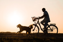 Senior Woman Riding Bike And Dog Running In Front, Silhouette Of Riding Person At Sunset  With Pet