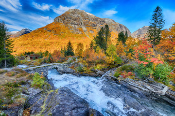 Wall Mural - Beautiful autumn landscape with yellow trees and river