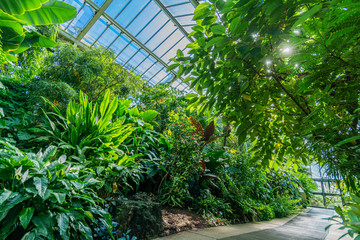 Wall Mural - Greenhouse botanical gardens in spring.