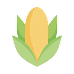 Poster - corn cob leaves food icon