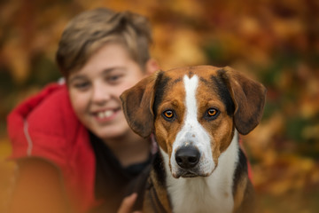 Wall Mural - Young boy with his dog in autumn landscape